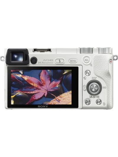 Wholesale Fashion Handbags