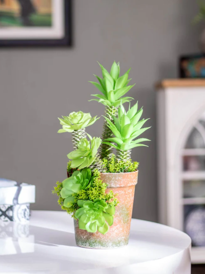 Artificial Succulents Plants